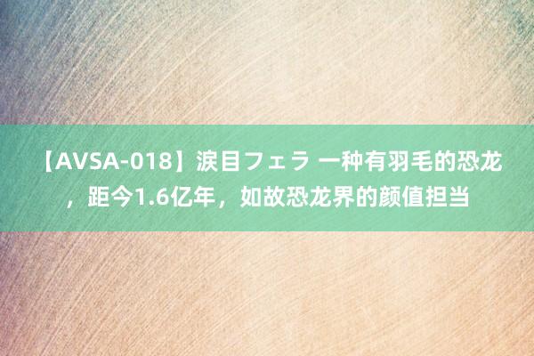 【AVSA-018】涙目フェラ 一种有羽毛的恐龙，距今1.6亿年，如故恐龙界的颜值担当