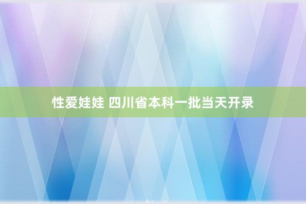 性爱娃娃 四川省本科一批当天开录