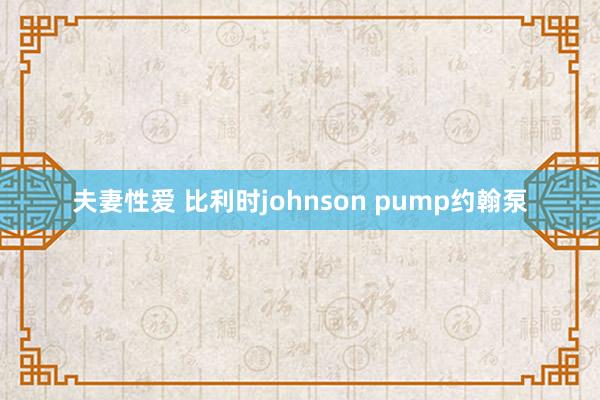 夫妻性爱 比利时johnson pump约翰泵