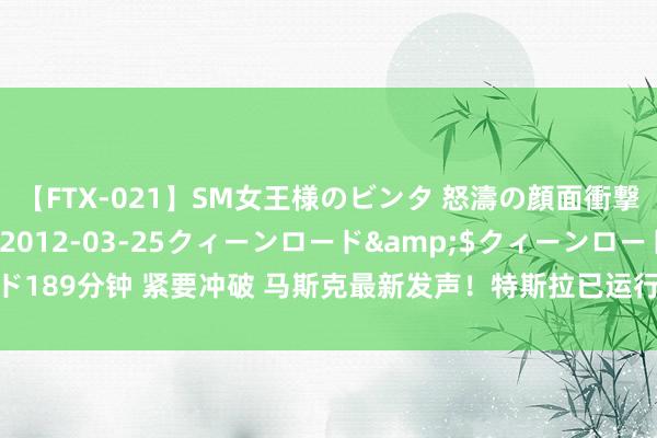 【FTX-021】SM女王様のビンタ 怒濤の顔面衝撃3時間</a>2012-03-25クィーンロード&$クィーンロード189分钟 紧要冲破 马斯克最新发声！特斯拉已运行向职工推出全自动驾驶V12版块