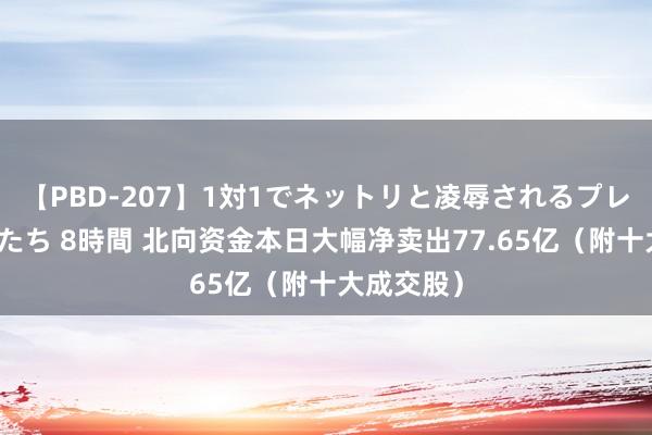 【PBD-207】1対1でネットリと凌辱されるプレミア女優たち 8時間 北向资金本日大幅净卖出77.65亿（附十大成交股）