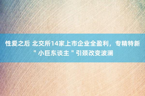 性爱之后 北交所14家上市企业全盈利，专精特新＂小巨东谈主＂引颈改变波澜