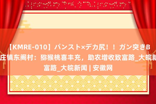 【KMRE-010】パンスト×デカ尻！！ガン突きBEST 萧县新庄镇东阁村：猕猴桃喜丰充，助农增收致富路_大皖新闻 | 安徽网