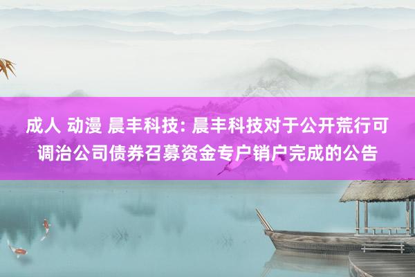 成人 动漫 晨丰科技: 晨丰科技对于公开荒行可调治公司债券召募资金专户销户完成的公告