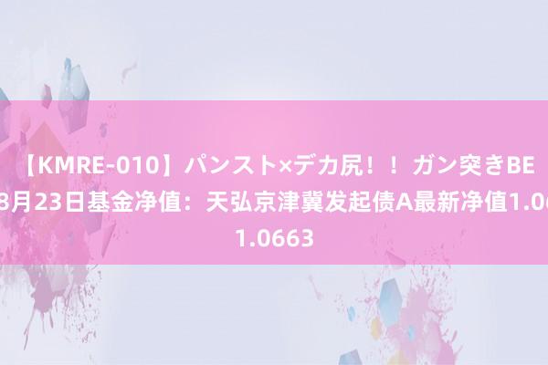 【KMRE-010】パンスト×デカ尻！！ガン突きBEST 8月23日基金净值：天弘京津冀发起债A最新净值1.0663