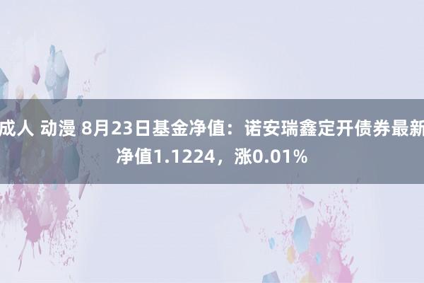 成人 动漫 8月23日基金净值：诺安瑞鑫定开债券最新净值1.1224，涨0.01%