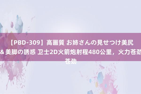 【PBD-309】高画質 お姉さんの見せつけ美尻＆美脚の誘惑 卫士2D火箭炮射程480公里，火力苍劲