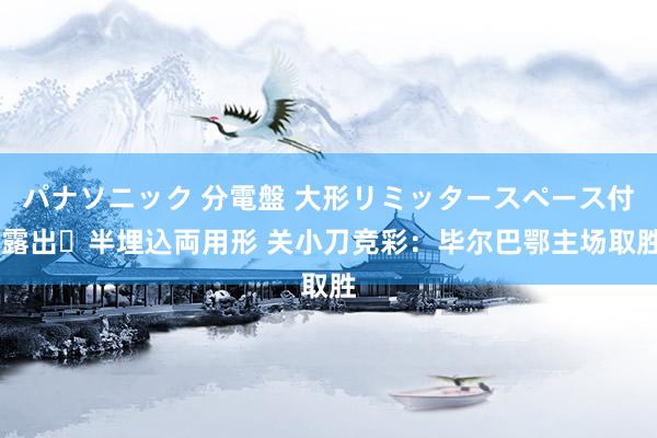 パナソニック 分電盤 大形リミッタースペース付 露出・半埋込両用形 关小刀竞彩：毕尔巴鄂主场取胜