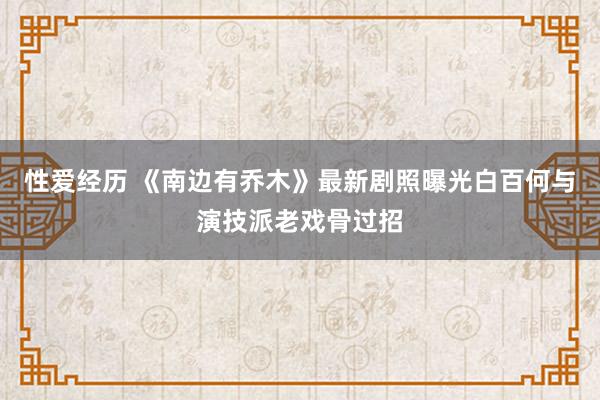 性爱经历 《南边有乔木》最新剧照曝光白百何与演技派老戏骨过招