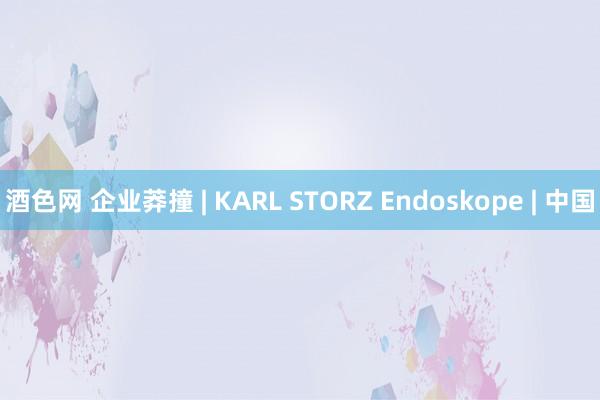 酒色网 企业莽撞 | KARL STORZ Endoskope | 中国