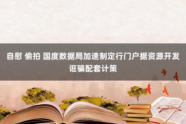 自慰 偷拍 国度数据局加速制定行门户据资源开发诳骗配套计策