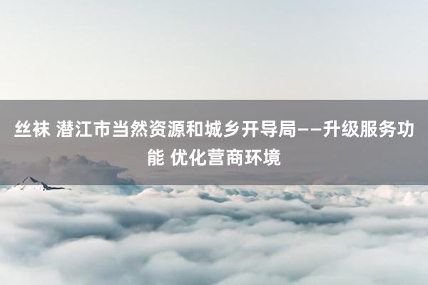 丝袜 潜江市当然资源和城乡开导局——升级服务功能 优化营商环境